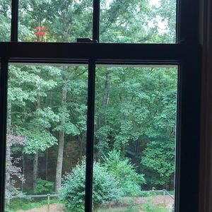 Meet your Posher, Polly